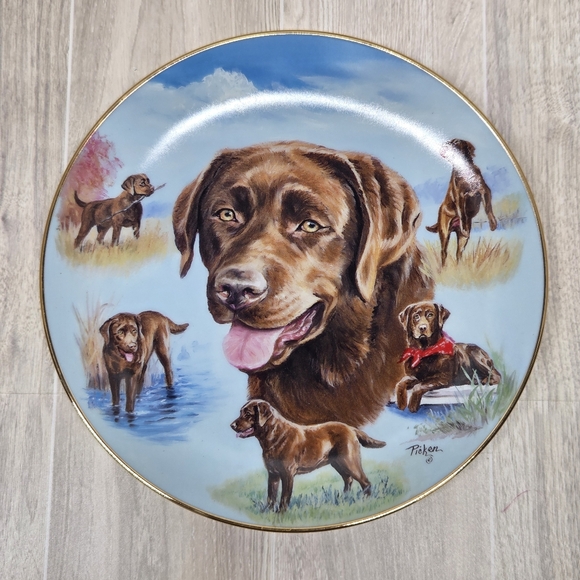 chocolate labrador retriever Decorative Plate Bradford Exchange - Picture 1 of 4